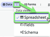 Spreadsheet view